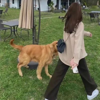 百变小姬子